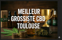 Top 5 des meilleurs grossistes de CBD à Toulouse 🏆 (2026)