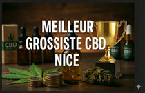 Top 5 des meilleurs grossistes de CBD à Nice 🏆 (2026)