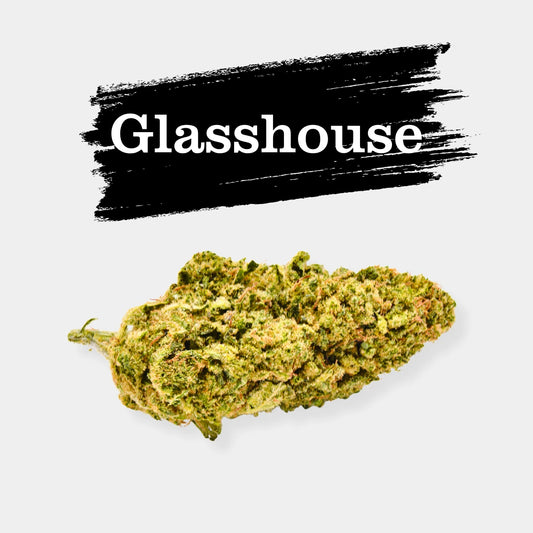 Fleurs d'Amnésia x Mango - GlassHouse Colombie