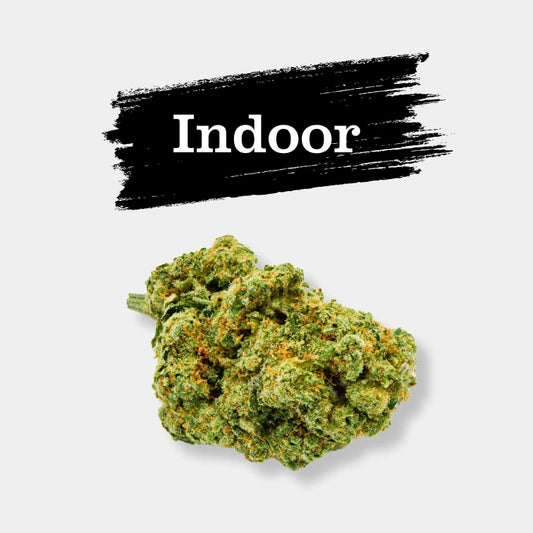 Amnésia Deluxe en gros - 17% CBD - Indoor Hydro Bio