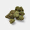 Small Bud Little Kiss en gros - Indoor Hydro