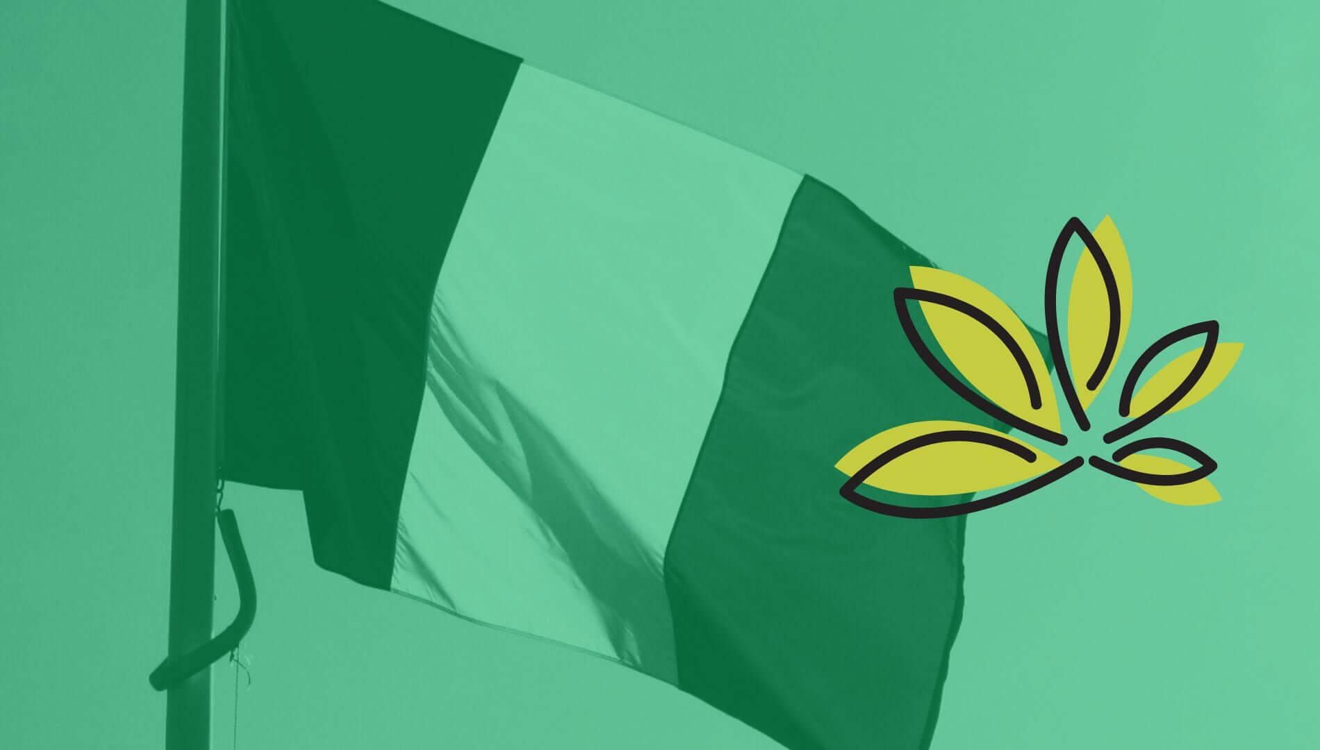 Grossiste CBD français Popeye Club