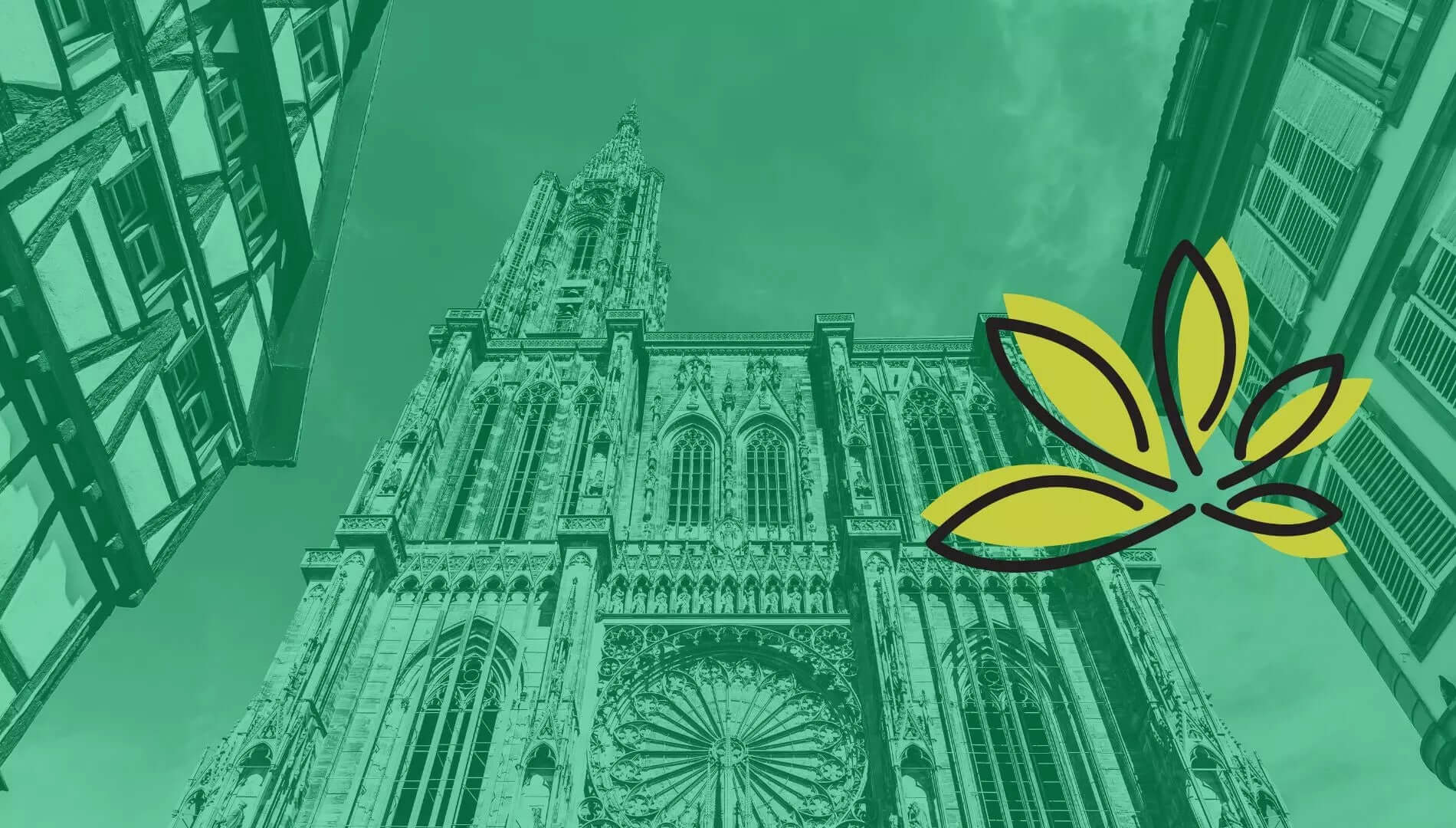 Grossiste cbd à strasbourg