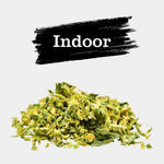 Trim de Fleurs Indoor - Vignette | Bud Company