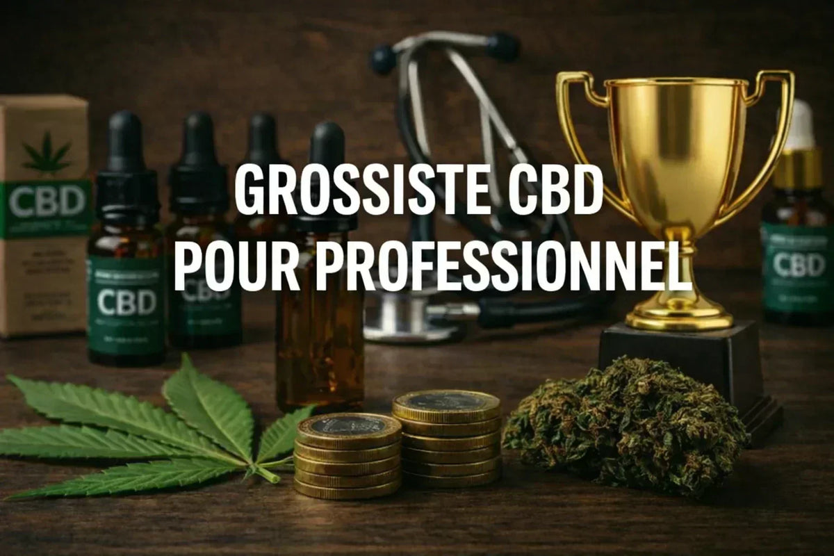 Grossiste CBD Professionnel 2026 : Vrac dès 1€/g (0€ Min)
