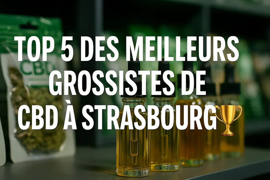Meilleur grossiste CBD Strasbourg
