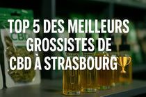 Meilleur grossiste CBD Strasbourg