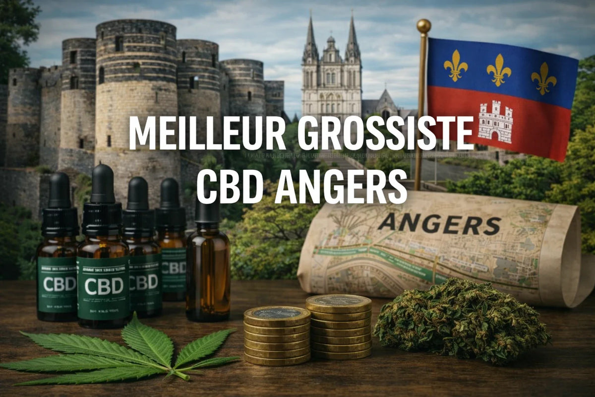 Top 5 des meilleurs grossistes de CBD à Angers 🏆 (2026)