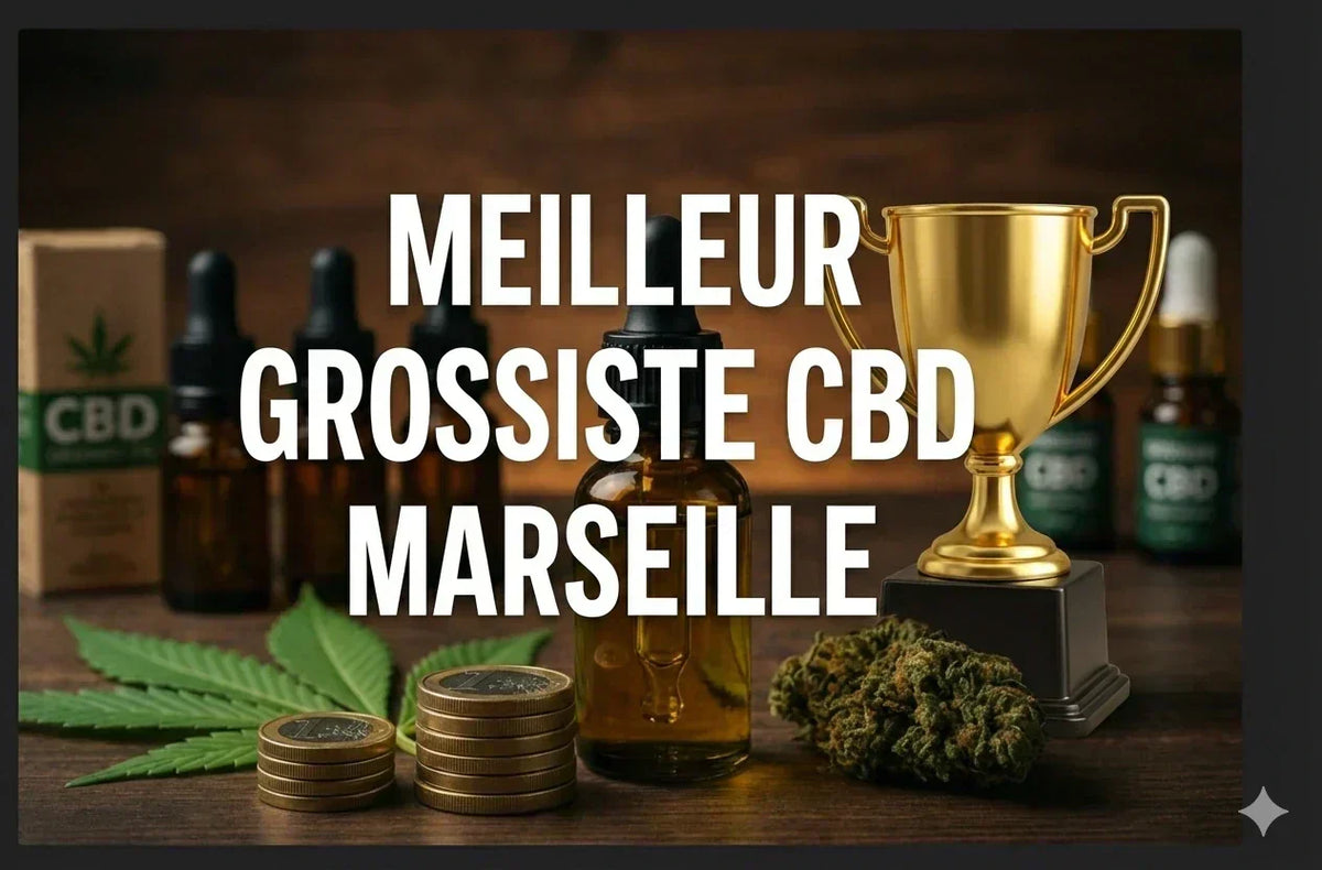 Meilleur grossiste CBD Marseille