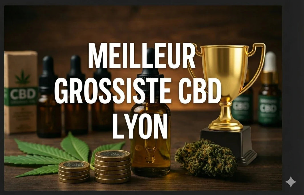 Top 5 des meilleurs grossistes de CBD à Lyon 🏆 (2026)