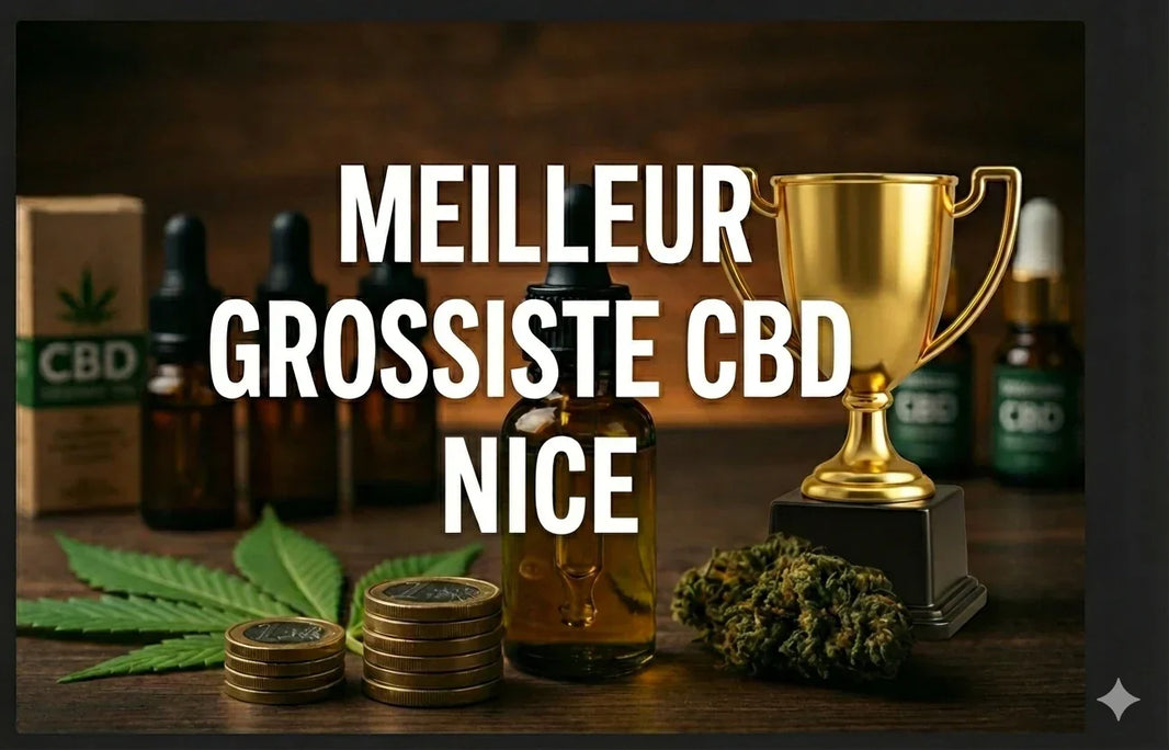 Top 5 des meilleurs grossistes de CBD à Nice 🏆 (2026)