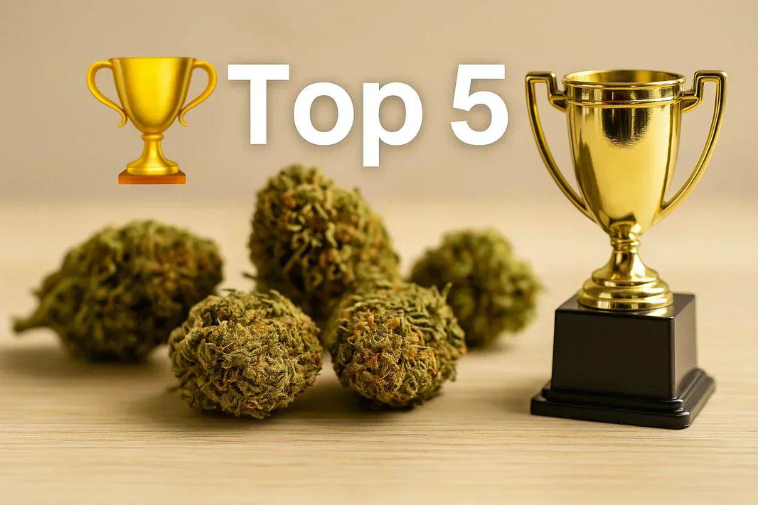 Meilleur grossiste CBG fleur de CBG trophée