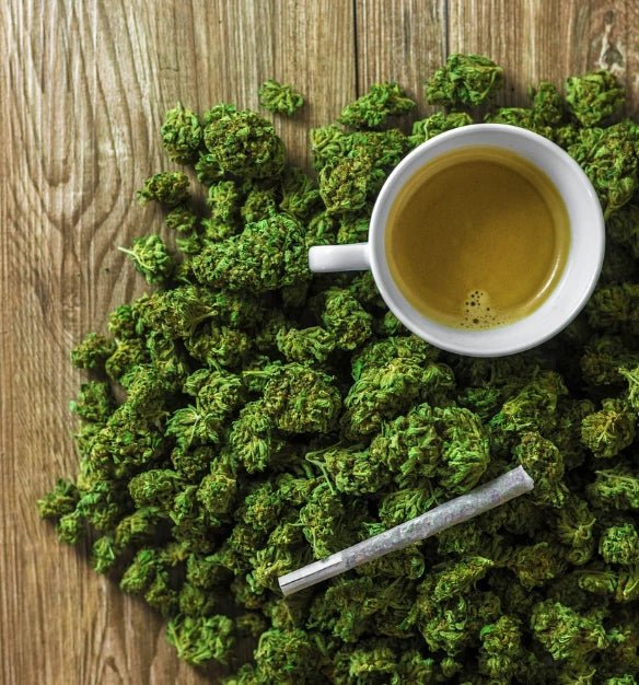 Comment consommer la fleur de CBD ? Découvrez ses atouts - Popeye Club