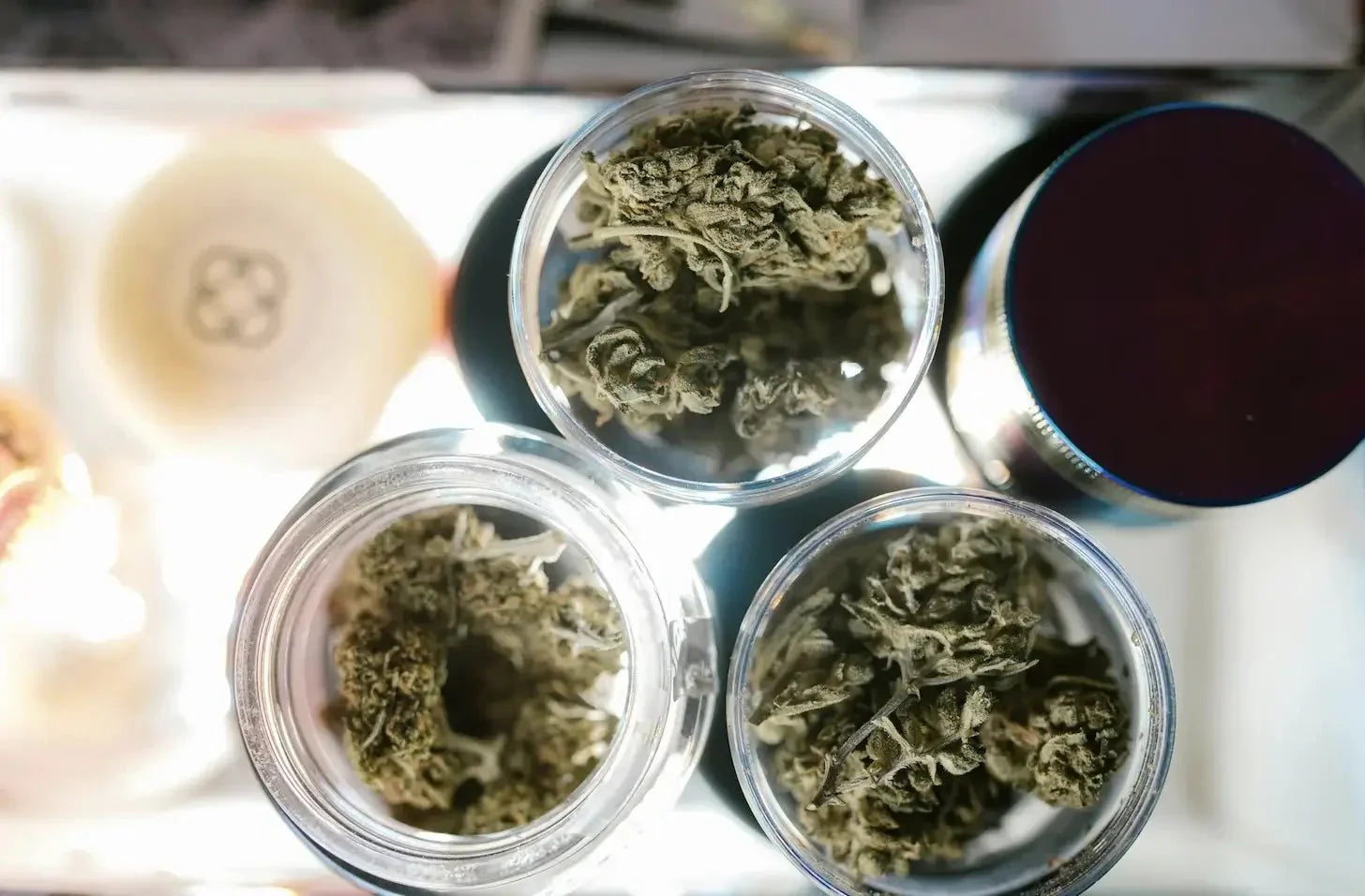 Comment stocker ses produits à base de CBD ? - Popeye Club