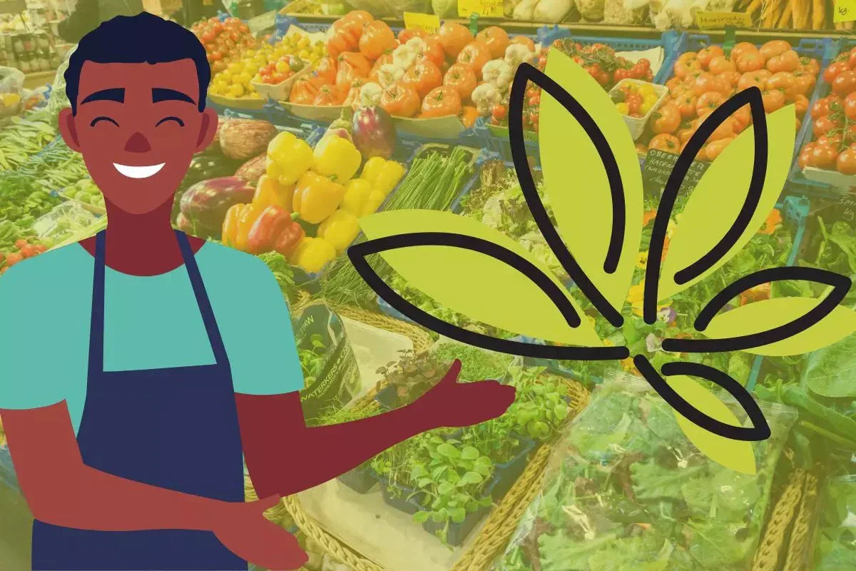 Peut-on vendre du CBD sur les marchés en France ?