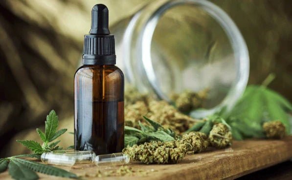 Quel est le meilleur CBD professionnel à vendre pour votre boutique ? - Popeye Club