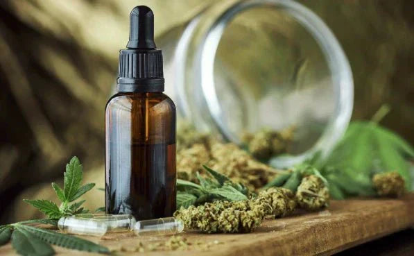 Quel est le meilleur CBD professionnel à vendre pour votre boutique ?