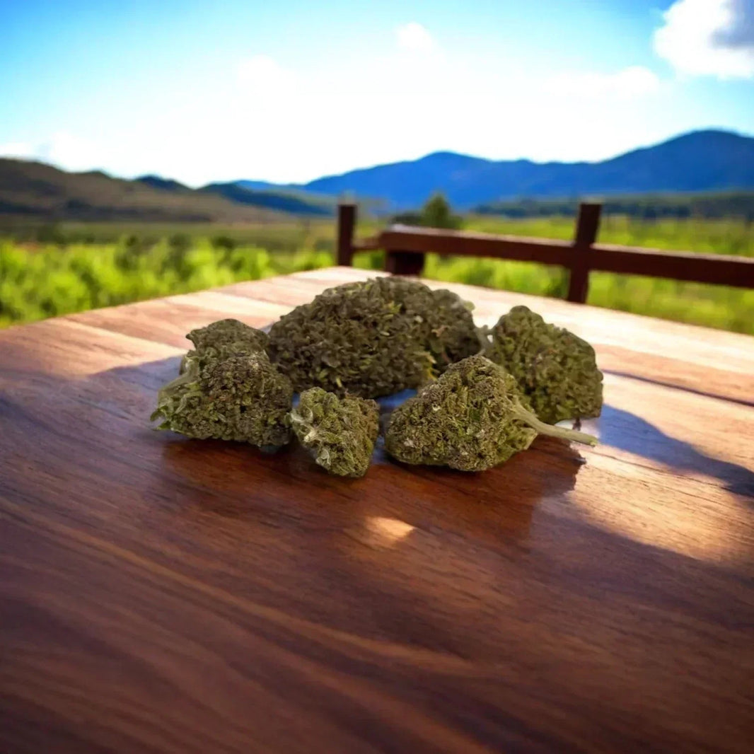 Quel est le meilleur statut pour vendre du CBD en 2025 ? - Popeye Club