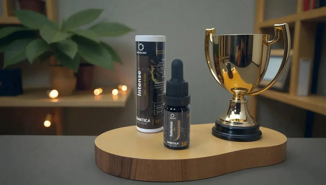 Top 5 des meilleurs grossistes d'huiles de CBD 🏆 (France, 2025) - Popeye Club