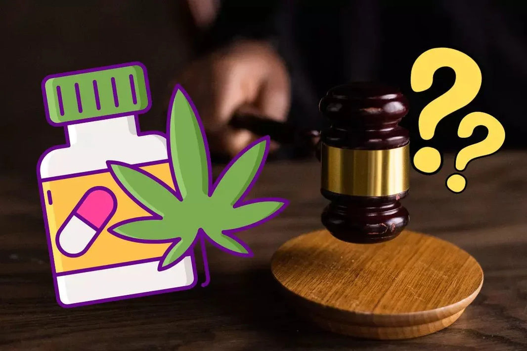 Vente de CBD en France : est-ce légal en 2025 ? Les règles à connaître - Popeye Club