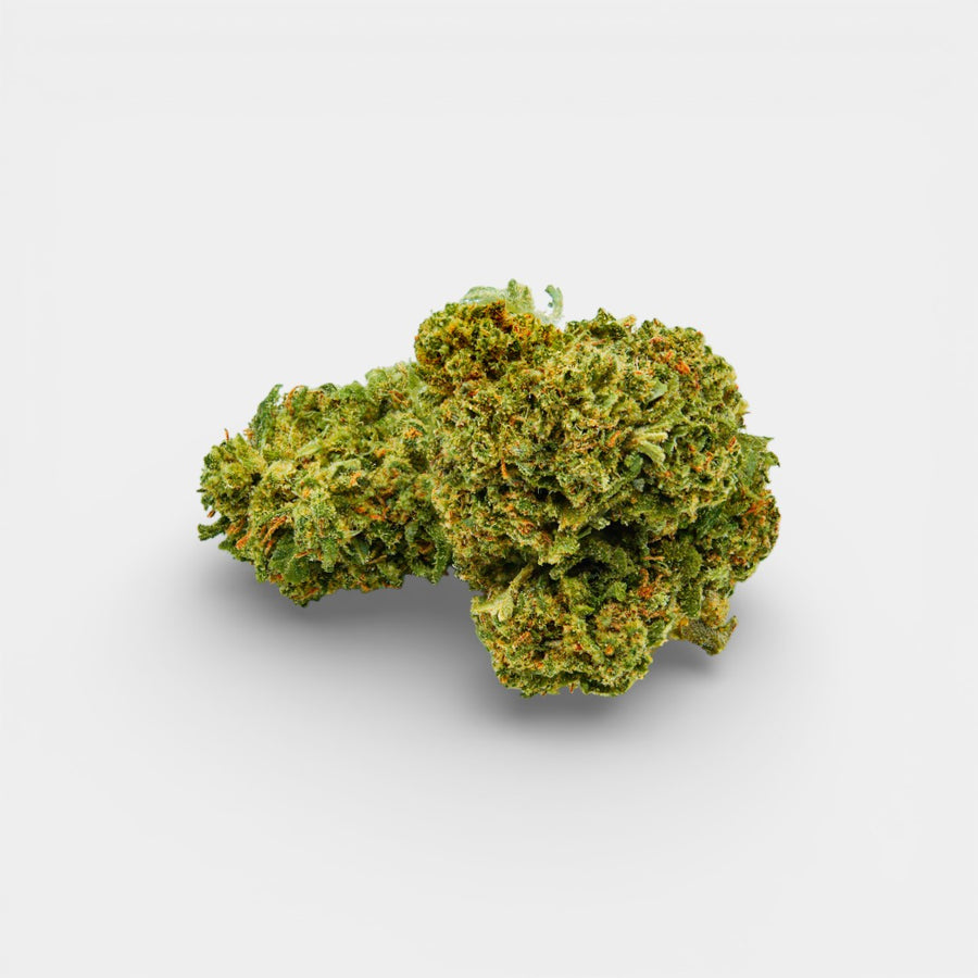 Amnésia Haze en gros - 16% CBD - Greenhouse