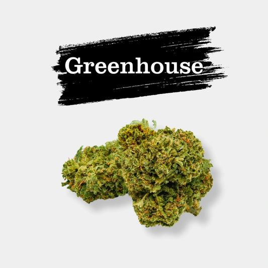 Amnésia Haze en gros - 16% CBD - Greenhouse