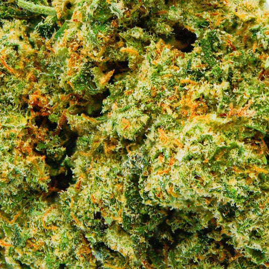 Amnésia Haze en gros - 16% CBD - Greenhouse