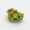 Amnésia Deluxe en gros - 17% CBD - Indoor Hydro Bio