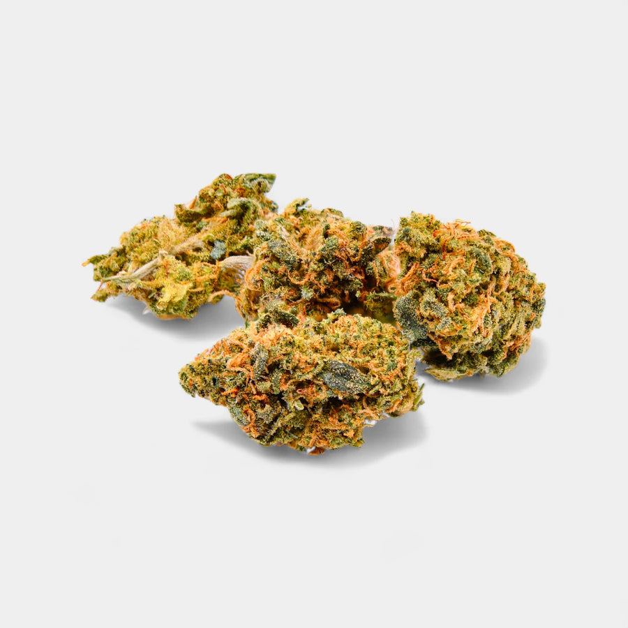 Blueberry Muffin en gros - Indoor Hydro Bio