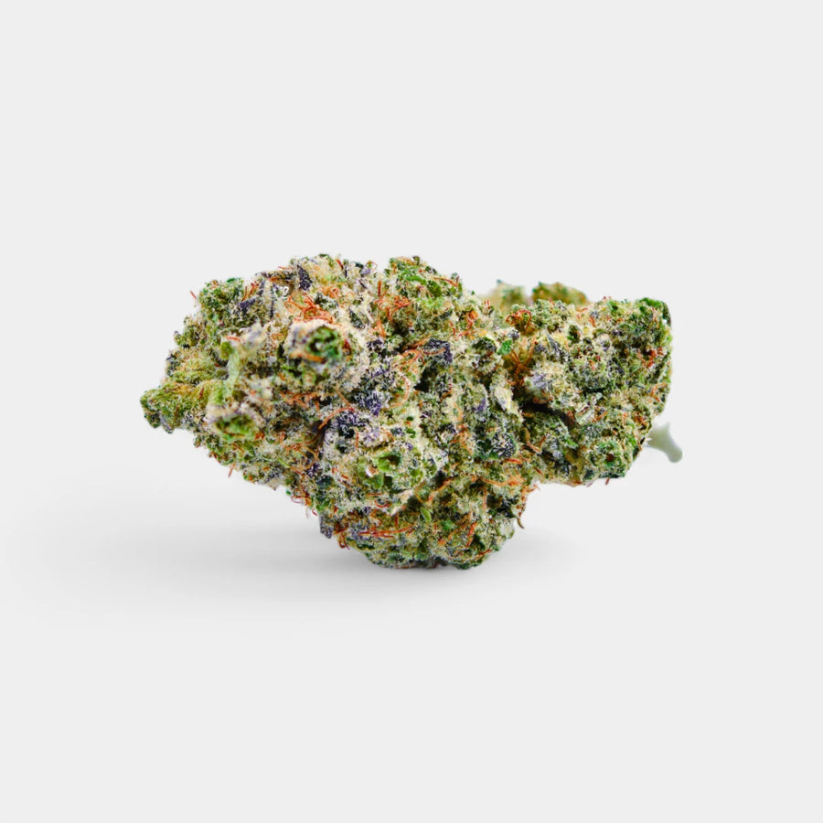 Blue Dream en gros - Indoor Hydro