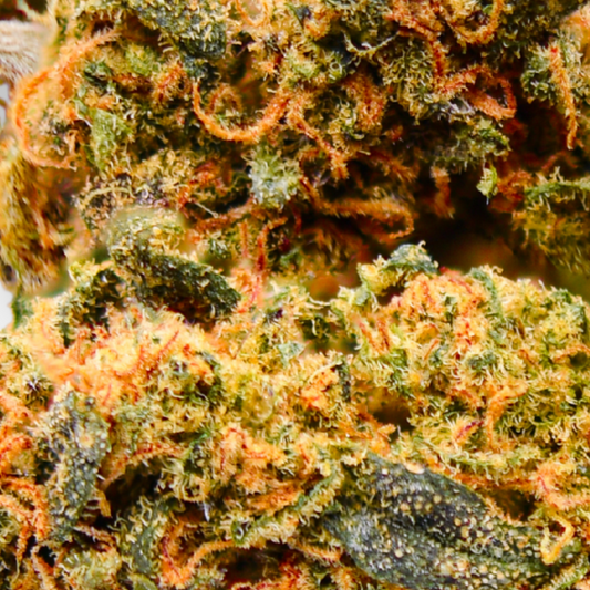 Blueberry Muffin