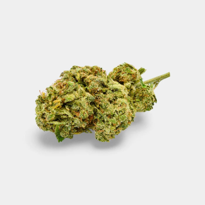 Cheese en gros - 16% CBD - Indoor bio