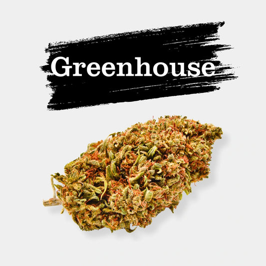 Critical - Greenhouse d'Afrique du Sud