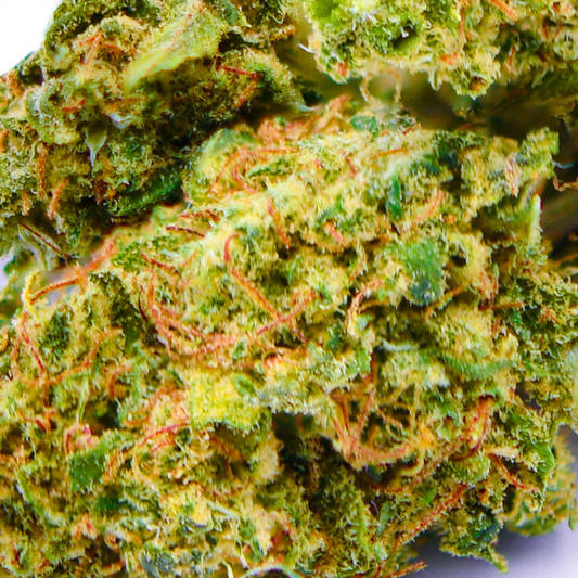 Fleur CBD Lemon Haze (en gros)