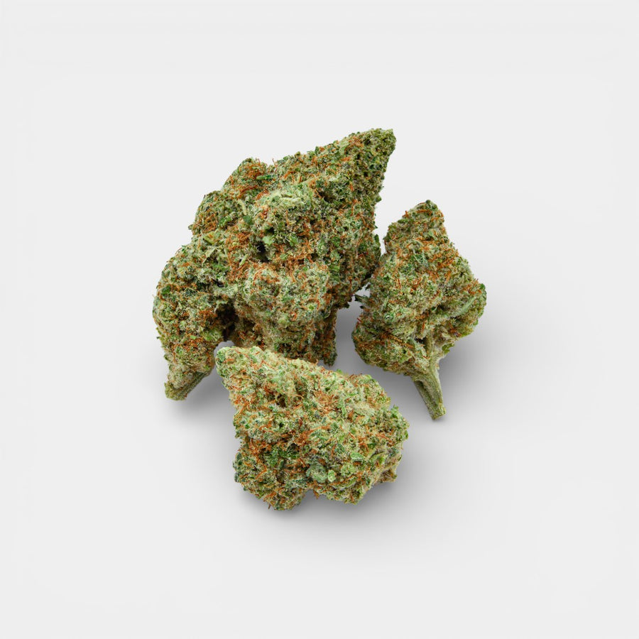 Lemon Pop en gros - 14% CBD - Indoor Hydro Bio