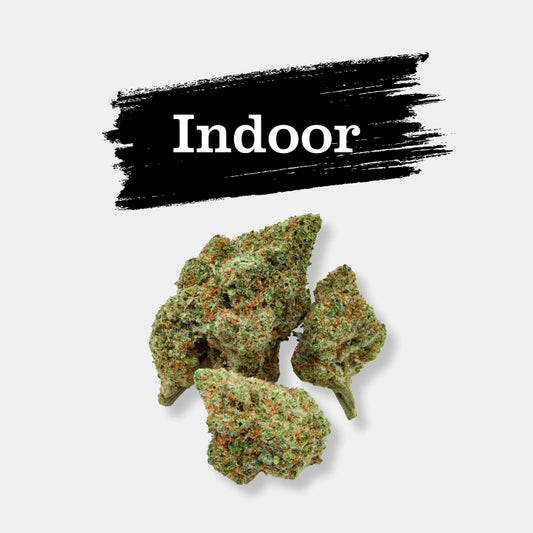 Lemon Pop en gros - 14% CBD - Indoor Hydro Bio