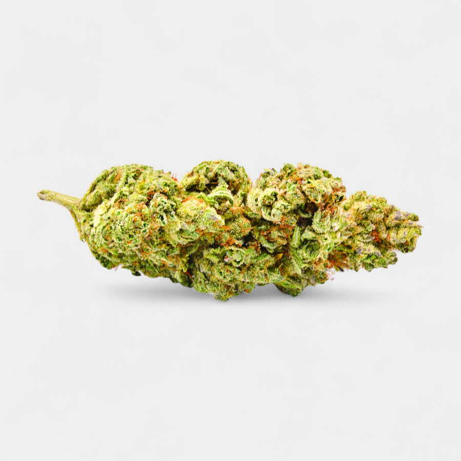 Fleur de Lemon Sorbet