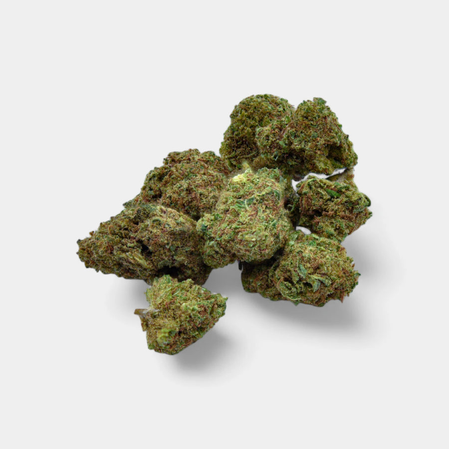 Small Bud Little Kiss en gros - Indoor Hydro