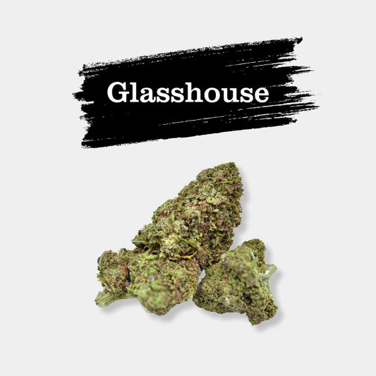 Ultra Pink en gros - 13% CBD - Glasshouse Hydro
