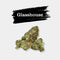 Ultra Pink en gros - 13% CBD - Glasshouse Hydro