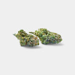 Blue Dream en gros - Indoor Hydro - Vignette | Bud Company