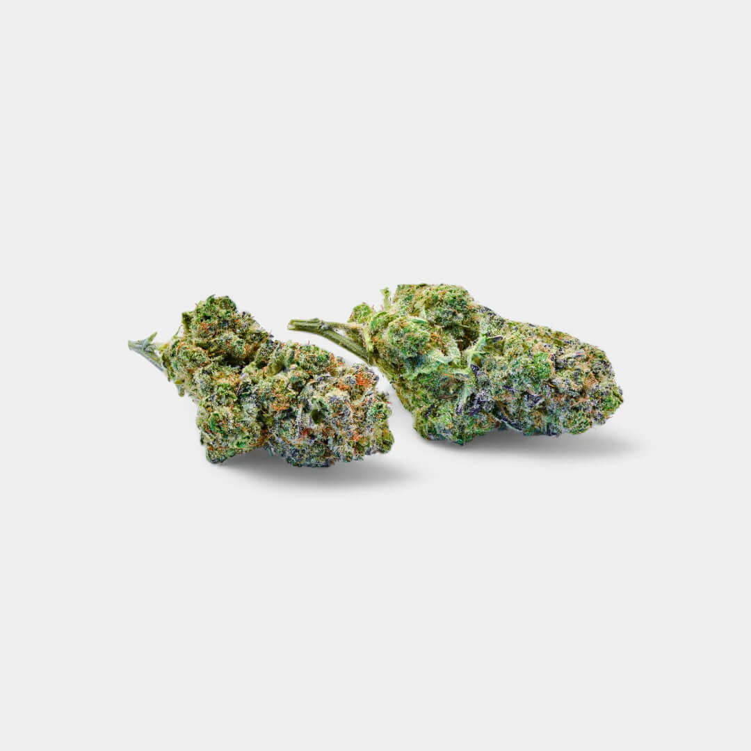 Blue Dream en gros - Indoor Hydro - Popeye Club