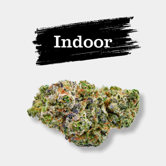 Blue Dream en gros - Indoor Hydro - Popeye Club