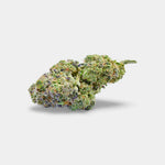 Blue Dream en gros - Indoor Hydro - Vignette | Bud Company