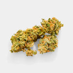 Blueberry Muffin en gros - Indoor Hydro Bio - Vignette | Bud Company