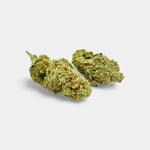 Cheese en gros - 16% CBD - Indoor bio - Vignette | Bud Company