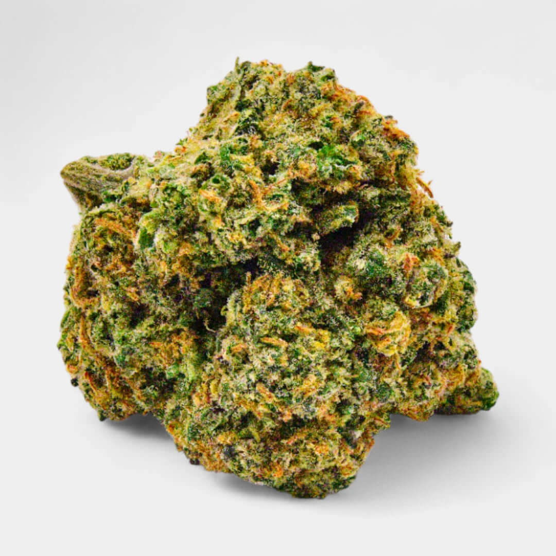 Cookie - Popeye Club