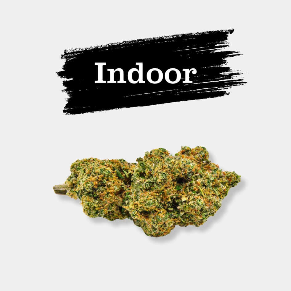 Cookie - Popeye Club