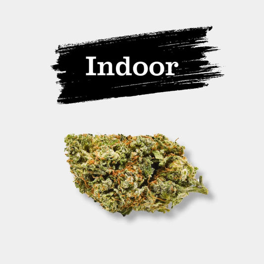 Fleur CBD Critical - Popeye Club