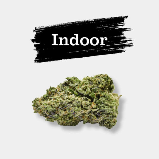 Fleur CBD Mango Haze - Popeye Club